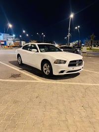 متوئم • ٢٠١٤ • اربيل