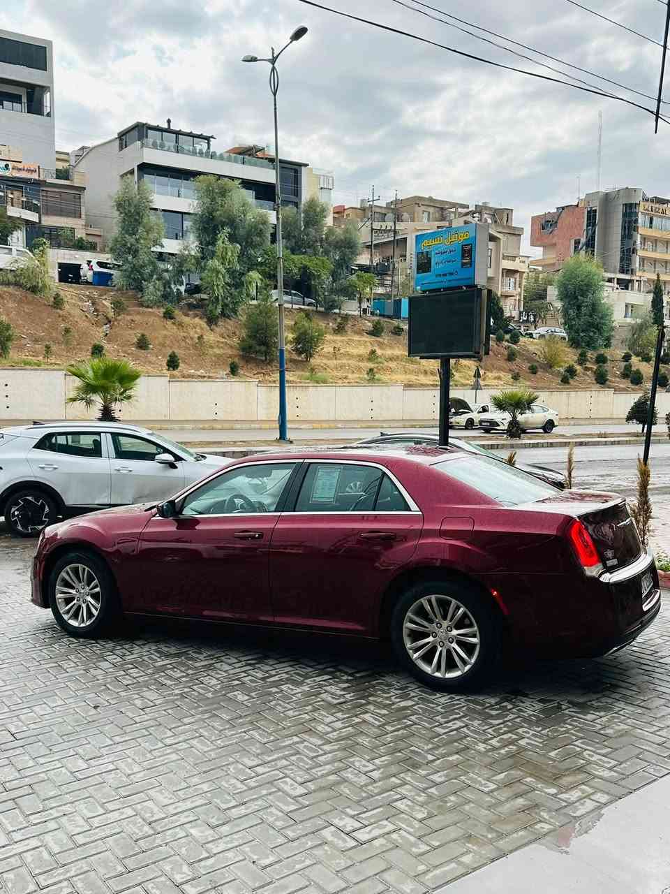 كرزي • ٢٠١٦ • وارد كندي