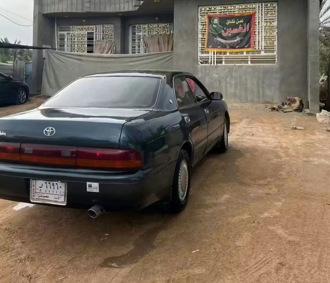 بطه • موديل ١٩٩٢ • مصبوغه