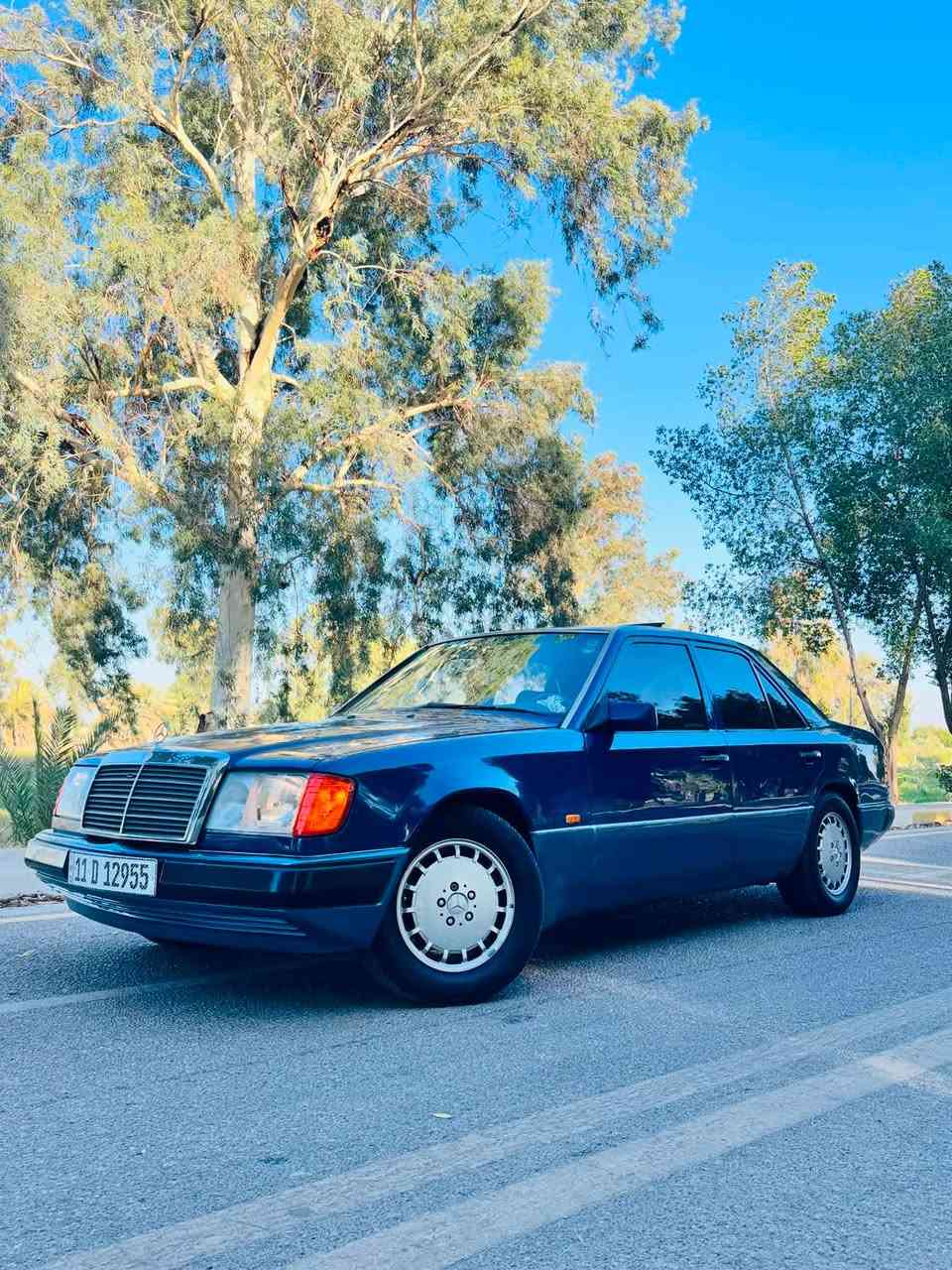 السلام عليكم 

بيع او مراوس 

لليدور جديد وبلاد سونار مرفق بالمنشور فقط جيلاتين 4قطع 
مارسدس دب 300 عنكبوت بلاد قبق اسود مديل 1991اصل رقم بغداد  
شرط سيارة تحفة 
والله الصور ضالماتها بشوف احلى 
محرك وكير كفاله على وضع الشركة  
شلعه شرط تحفر الكاع 
ترايك 200  
السياره كفاله من كولشي من كولشي عده
شواصي قواعد مكفولات من الشخط
((شراح تسأل اكولك مكفوله ))

مواصفات
فتحه 
دبل مروحه
 جام كهربائي
كير قفل 🔐 
حداديه زيرو شرط 
سنتر لوك 
اريل كهرباء 
كهربائيات كلها على وضع الشركة 
مكاني بابل مسيب 
***********
