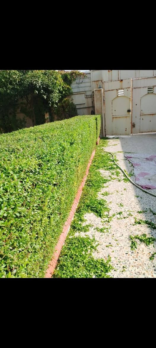حدقجي الموصل • تأسيس حدائق • تنظيف حدائق