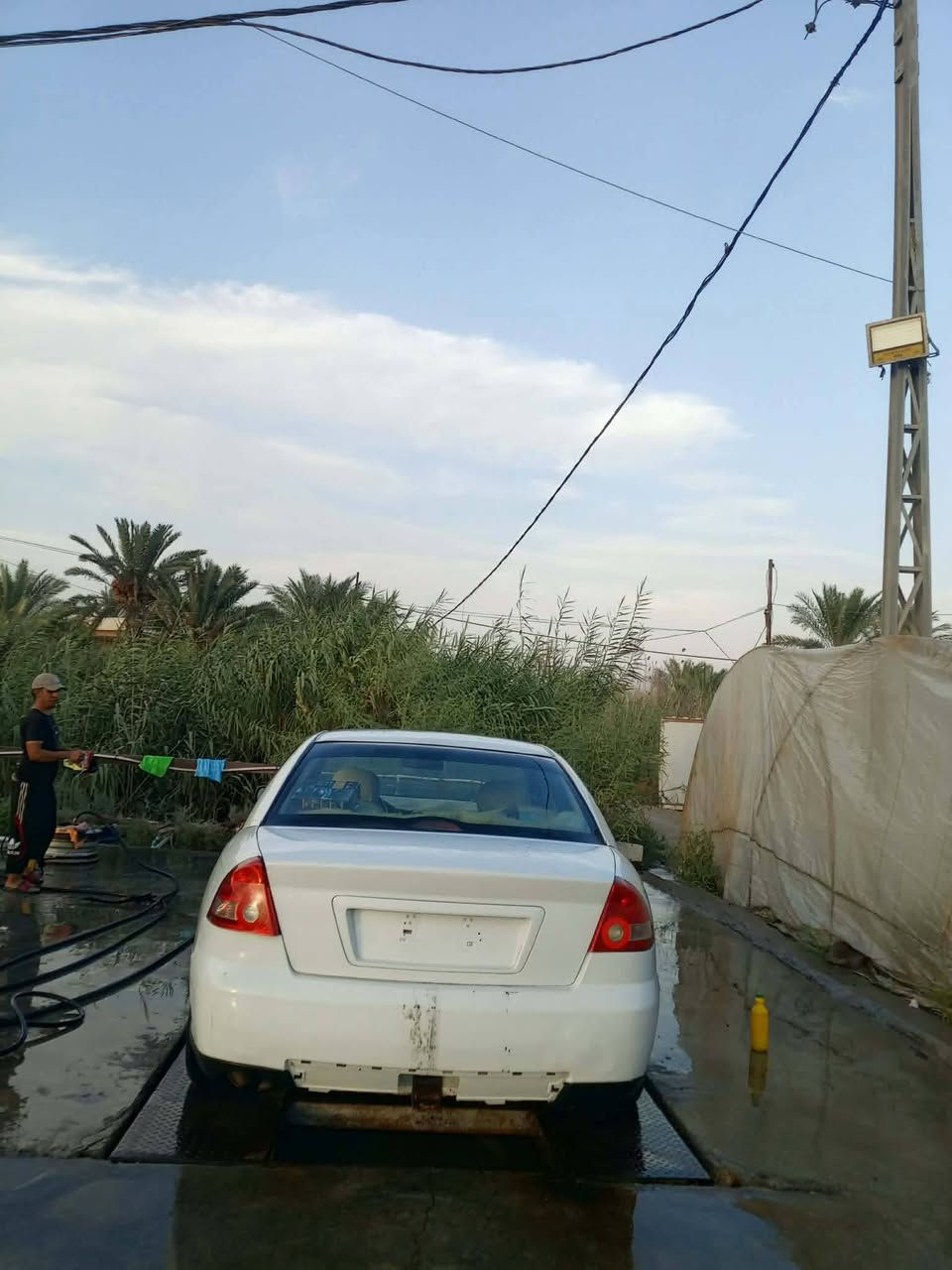 لومينا • ٢٠٠٤ • رقم ديالى