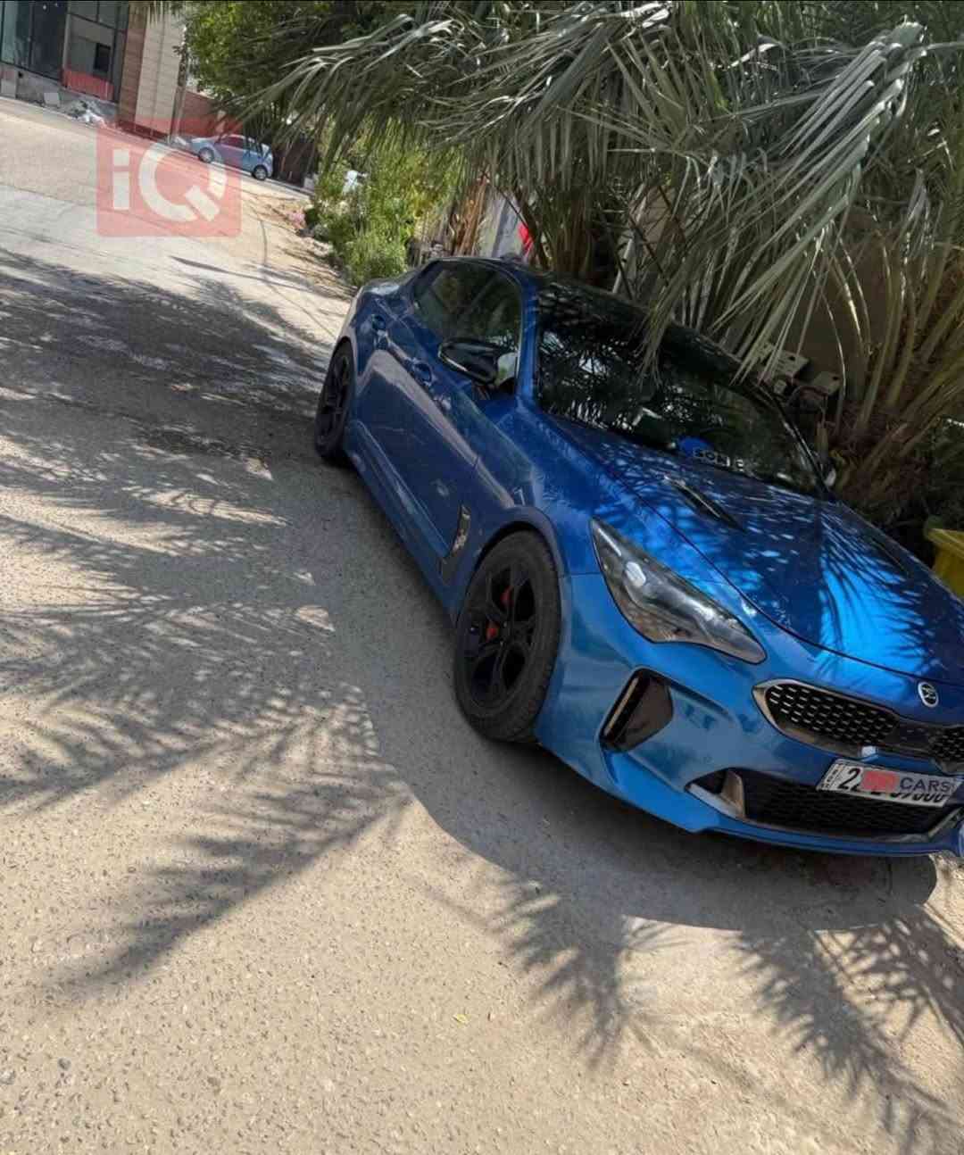 كيا ستينجر موديل 2018gt2 بيع او مراوس
هزه وسنويه جديده تريد وكاله تريد مداور

ماشيه1110k

تون تيربو 3300 v6 🚀

المواصفات gt2 معروفه فول عليه اخر حبه

عليه اكسل قفل

عدسه عين شيطان 150 حركه

لد محيطي لداخل اخر اصدار

شوت رياضي

بيهه موصفات قيامه 

غرفه جديده بلجيس

حادثه موجود صوره وبل عراق صار بيه جامع ثلث يعني 3 قطع صبغ

مكاني نجف

شرط بانزين عادي محسن نفس الاداء 

واتساب موجود***********

السعر155 وبيه مجال

نص مكتوب في الصور:
- iQ
- iQ CARS
- BidFax.info