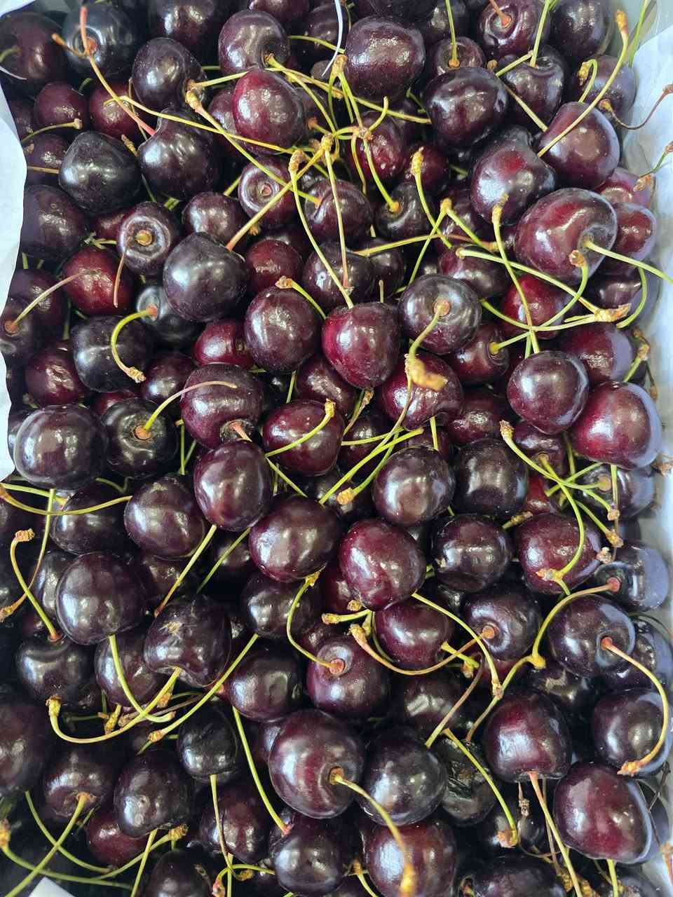 بسم الله وعلى بركه الله 

مسواك يوم الاحد ان شاءالله 

جديد وطازج وفريش 🍒🍇🍋‍🟩🌶🫛🫑🥑🍅🍊🍎🍓🥦🍄🥦🍎🍊🍊🫛🍎

متوفر جميع انواع الفواكه والخضراوات لدى 

بقالة اليرموك البيت الصيني محلات كوزمتك باريس سابقااا 

متوفر توصيل صباحا ومساءااا 

هاتف /*********** 

وكل الهلا بيكم وحياكم الله
