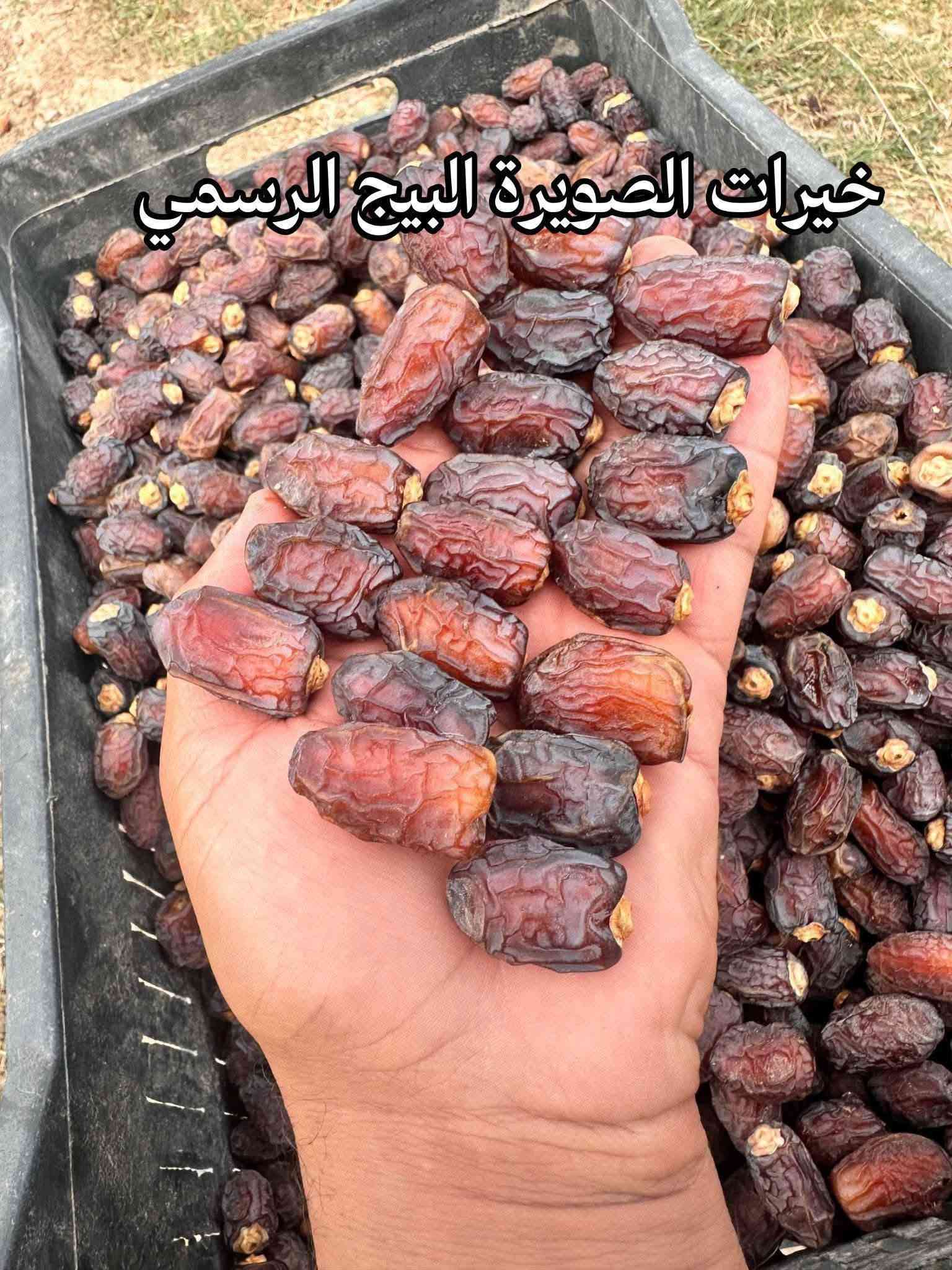 تمر بريم • درجة أولى • خيرات الصويرة
