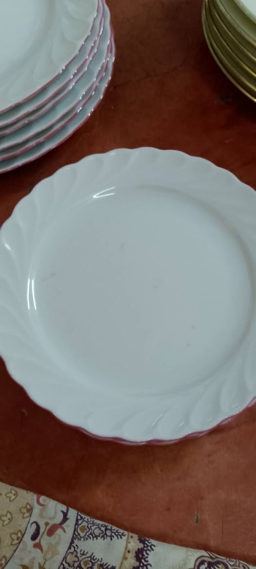 قاپەنا • کرکوک رحیماوە