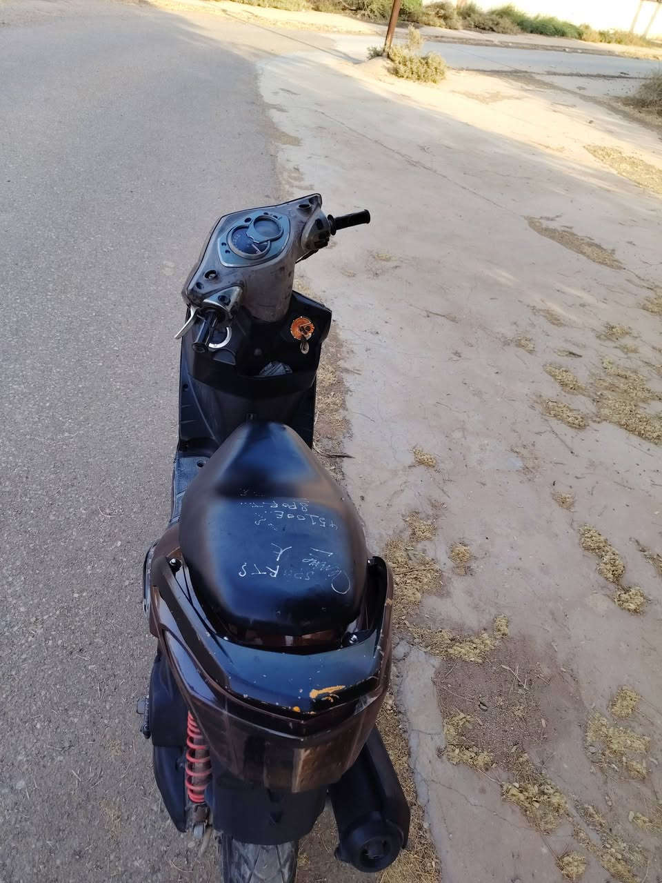 سكنس فحل • كابريتر • زونن