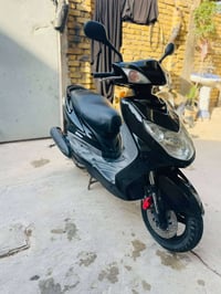 سكنس فحل • ياباني • كفاله