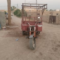 ستوته • بدون اوراق • اليوسفيه