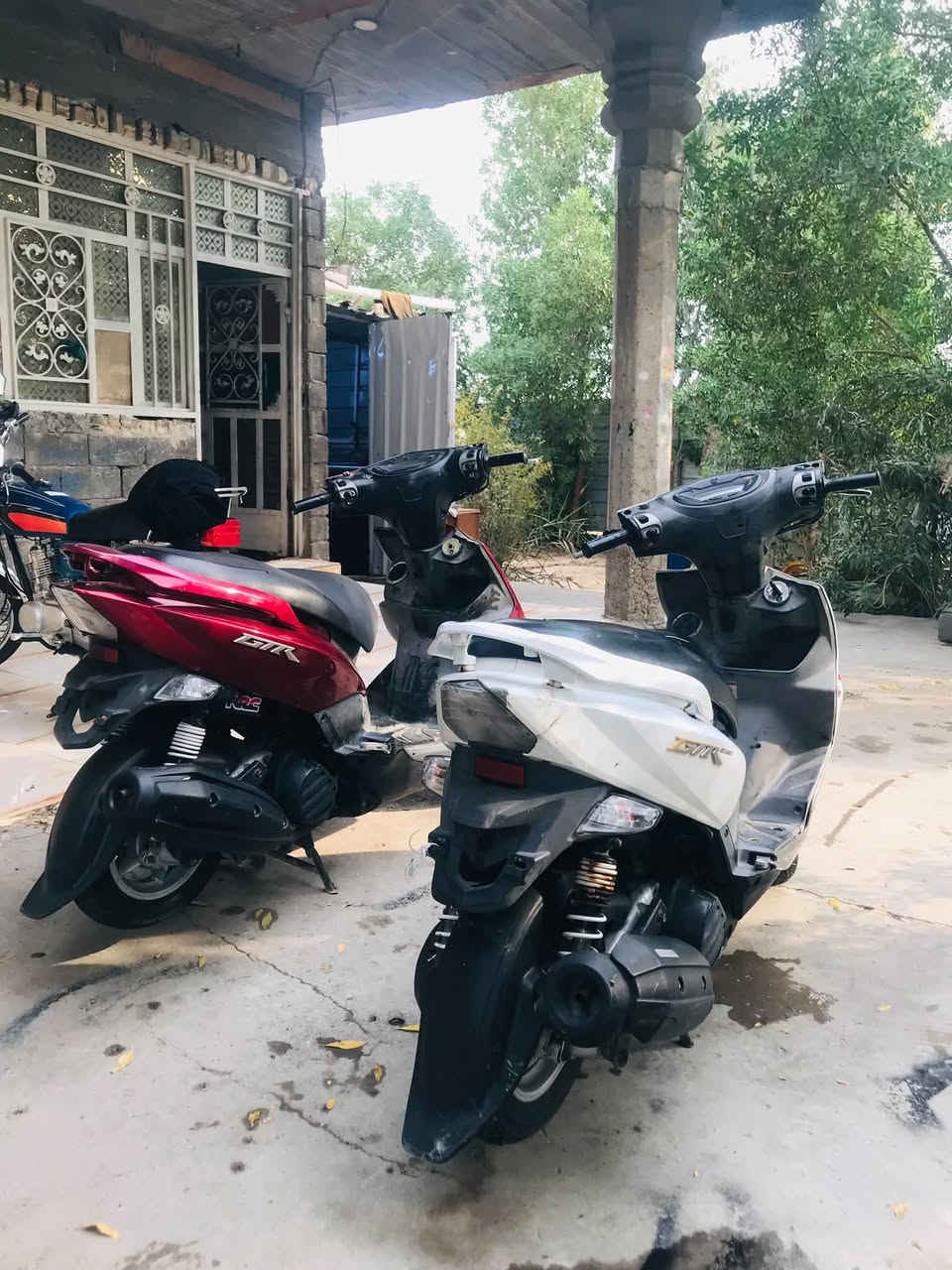 GTR • ثنين • كفالة مكينة