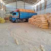 اسكانيا • ١٢ ونص • نينوى