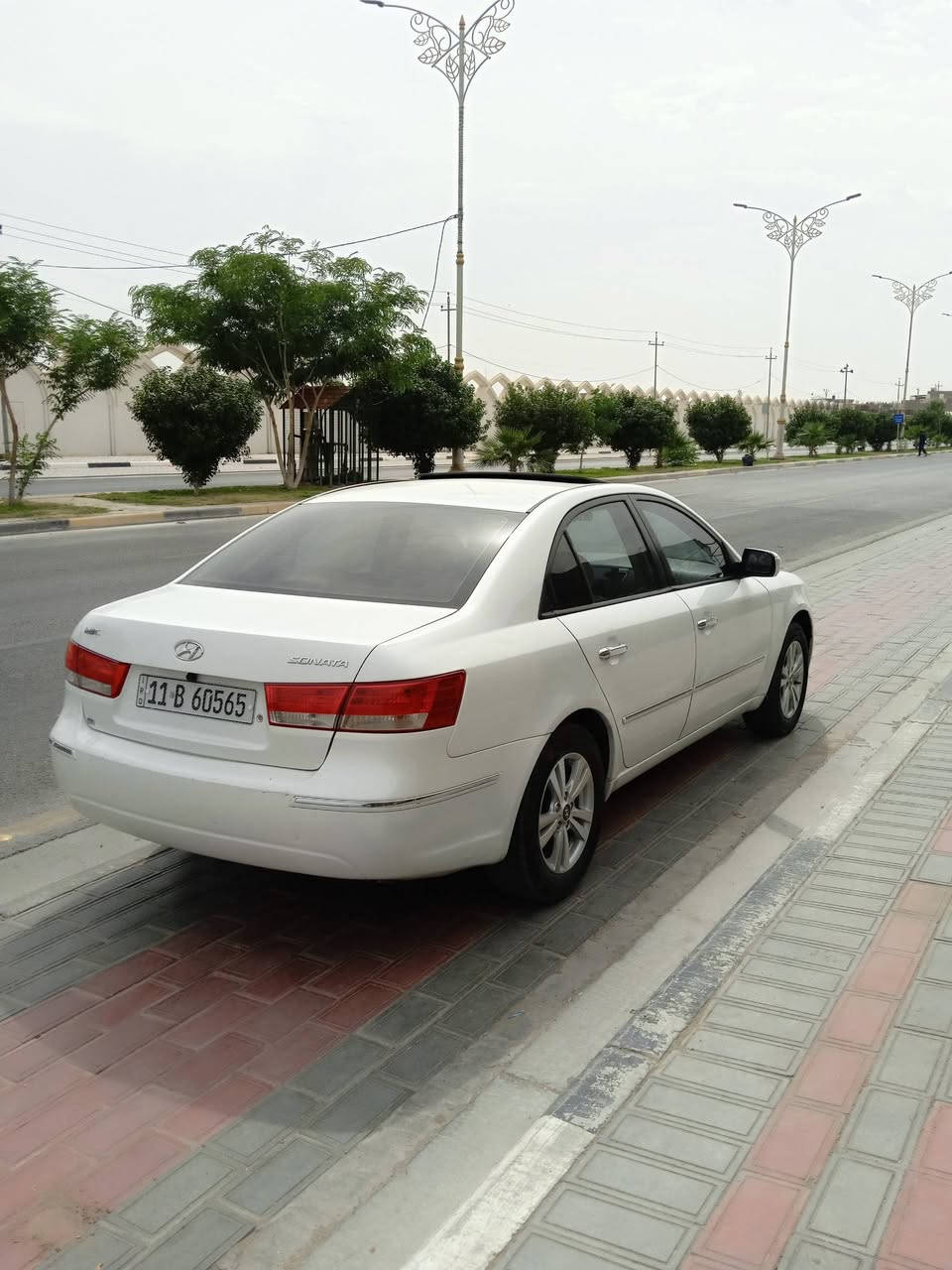 سوناته • ٢٠١١ • رقم بغداد