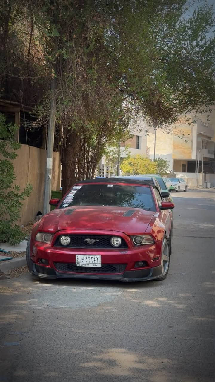 Mustang GT premium 🐎❤️‍🔥
الموديل: [ 2013 ]
المحرك: [ V8 / 5.0 ] 🔥
الگير: [ أوتوماتيك ]
الممشى: [ 68 الف ميل ]
اللون: [ أحمر - مميز ] 🚩
الحالة: [ حادثها صندوك وشوية بارد بـ الجاملغ الخلفي بامريكا ، وبـ العراق صار بيها جاملغ امامي جهة السايق وايرباك الدركة طاك + صور الحادث موجودة ]

[ لمعرفة السعر اترك تعليق داخل المنشور وسوف يصل اليك مباشر عبر رسالة نصية ] 📥

[ الـــــمـــواصــفـــــات ]

- بريميوم 7 الوان 
- شاشة كبيرة 
- مقاعد جلد 
- كاميرا
- انارة تحت الرجل 
- سستم سماعات ( شيگر )
- تحكمات ستيرن 
- وبقية المواصفات المعروفة 

[ الاضـــــــافــــــاات ]

- تضليل أمـريكي 100%
- لحية RTR
- دفيوزر + سبويلر شيلبي 350 
- ويل فورزن نجمة قيـاس 20 تو سايز
- تفريغ + داون بايب
- دبات Ht Power + بوابات ريمونت 
- حلوك اكزوزت Corsa
- برمجة سيفتي ( كت اوف + طلقات - استعمال يومي )
- الصدر جديـد + التايرات جديدة 

الموقع: [ بغداد / اليرموك ] 📍

للتواصل واتس اب او اتصال : [ *********** ]
