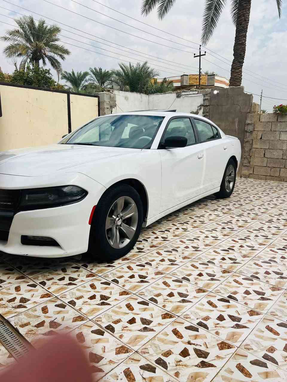 تشارجر • ٢٠١٥ • وارد كندي