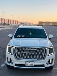 يوكن دينالي • حادث خفيف • وارد امريكي