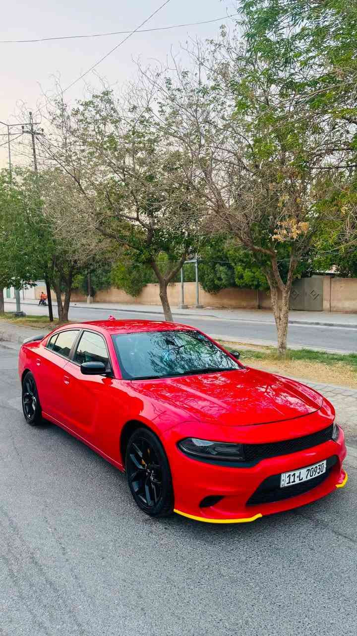 جارجر SXT. 2019
مكينه 3600 تو ويل

سعر 159
حادثه فقط جاملغ ب امريكا
بل عراق بيه مكانت صبغ ابيع حزام
صور حادثه بل منشور كلش بسيط

موصفات 
1-شاشه كبيره
2-تحكمات ستيرن
3-رادارات جانبيه
4-خزن ميموري 
5-ستيرن كهرباء
6-كشنات كهرباء 
7-كشنات جلد +تدفى تبريد 
8-لايت زينون
9-كير مكينه كله جاهز
10-تبريد ثلج ❄️ 
11-حداديه جديده
12-اكسل جديد
13-رقم بغداد نكليزي
هزه وسنويه ورقام جدد

مكاني كربلاء 
رقمي ***********

( فقط بيع بدون مراوس وشراي يتصل على رقم)
