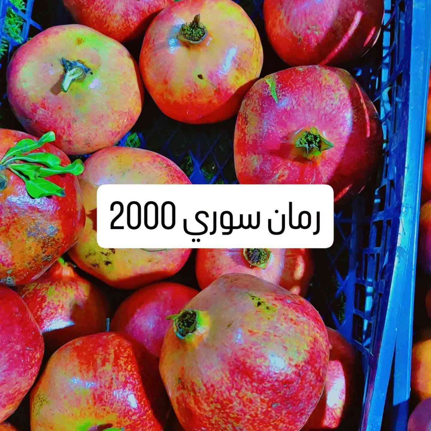 فواكه وخضار • رمان سوري • خس
