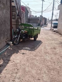 ستوته • موديل ١٩ • تنومه جباسي