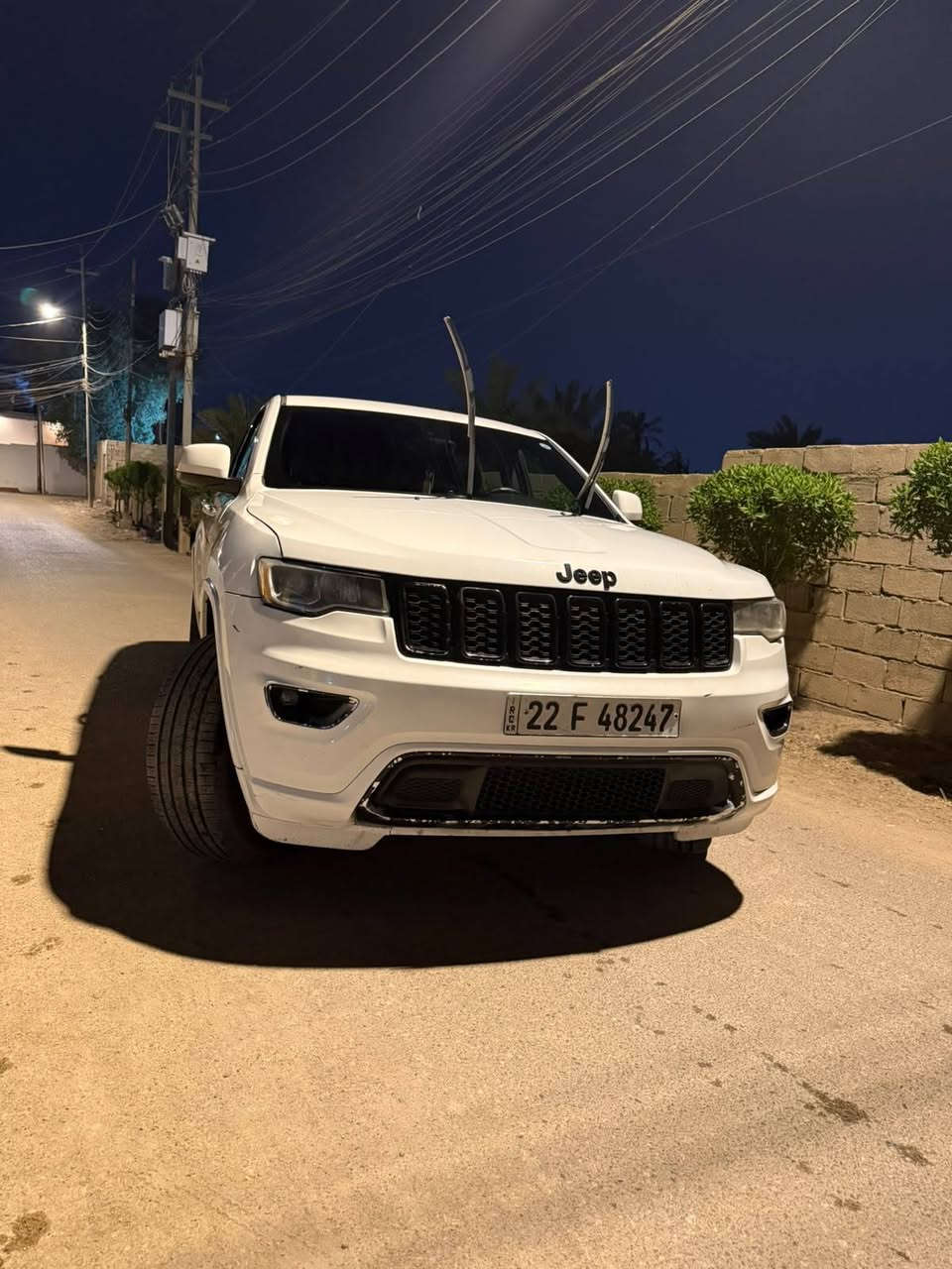 شيروكي • ٢٠١٧ • ضرر بالسونار