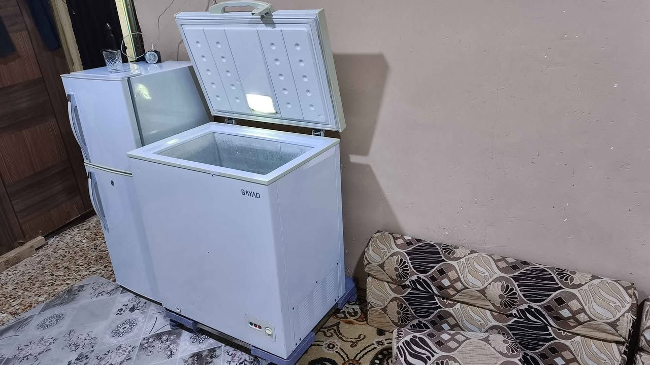 مجمده نضفيه وشغاله على الفحص حجم صغير تجميد فول معقل وايلس *********** البصرة, العراق
