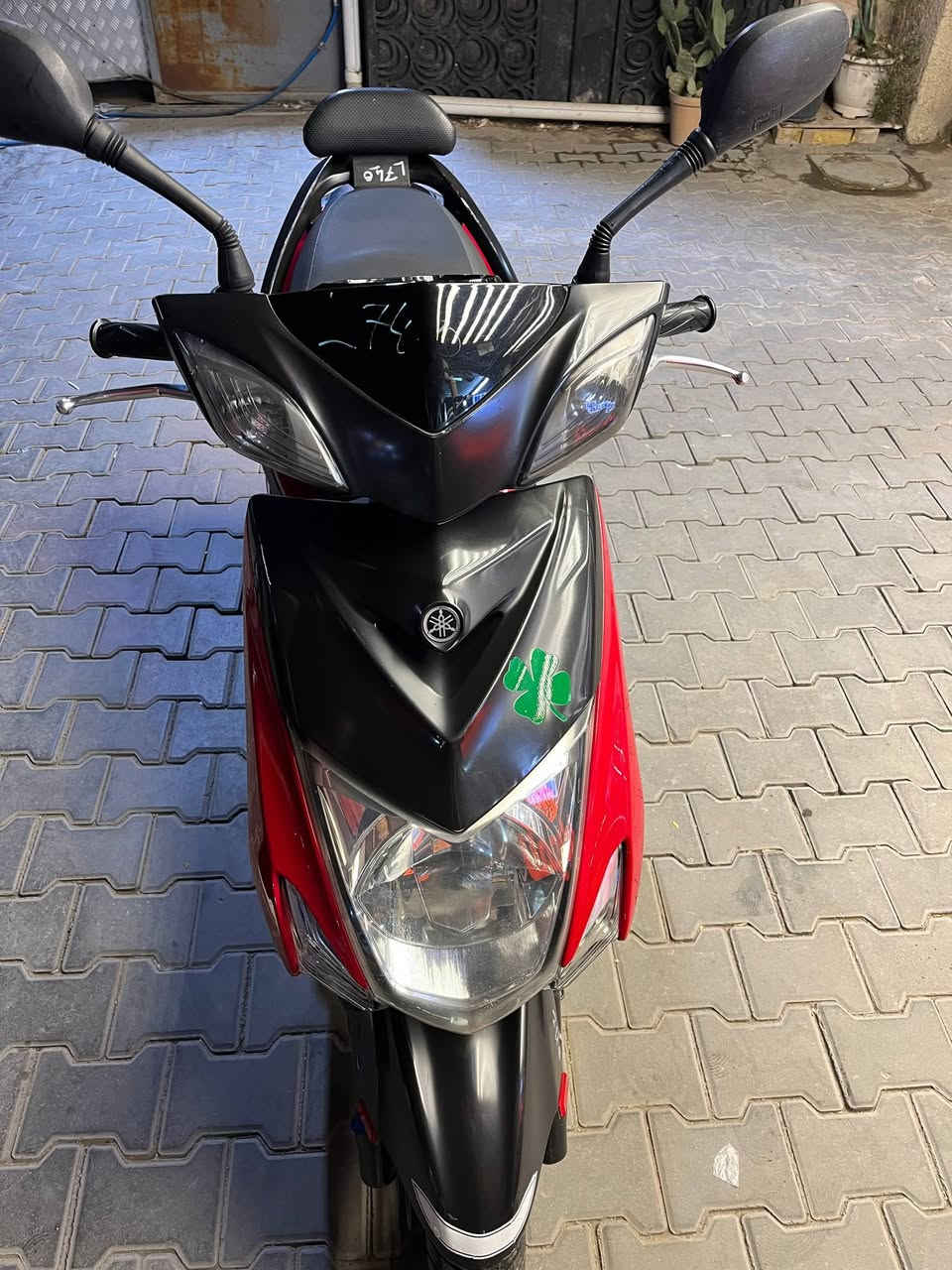 سكنس • جديدة