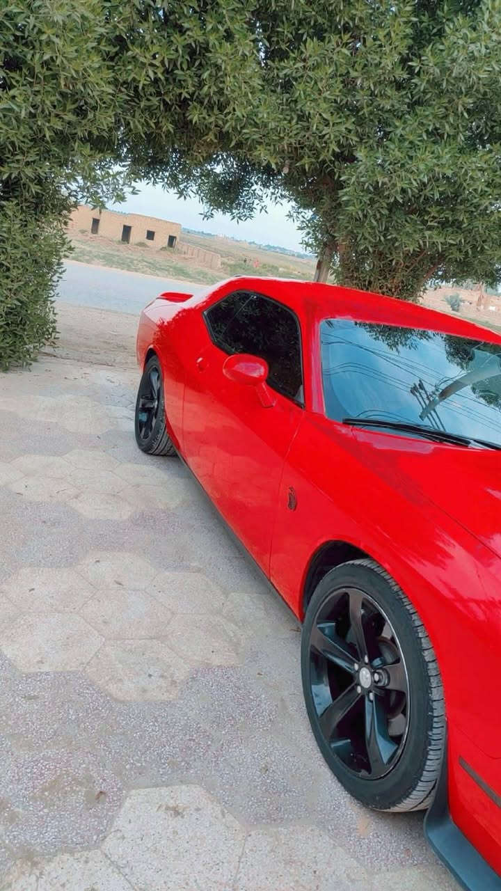 جالنجر ارتي • ٢٠١٨ • داخل جلد احمر