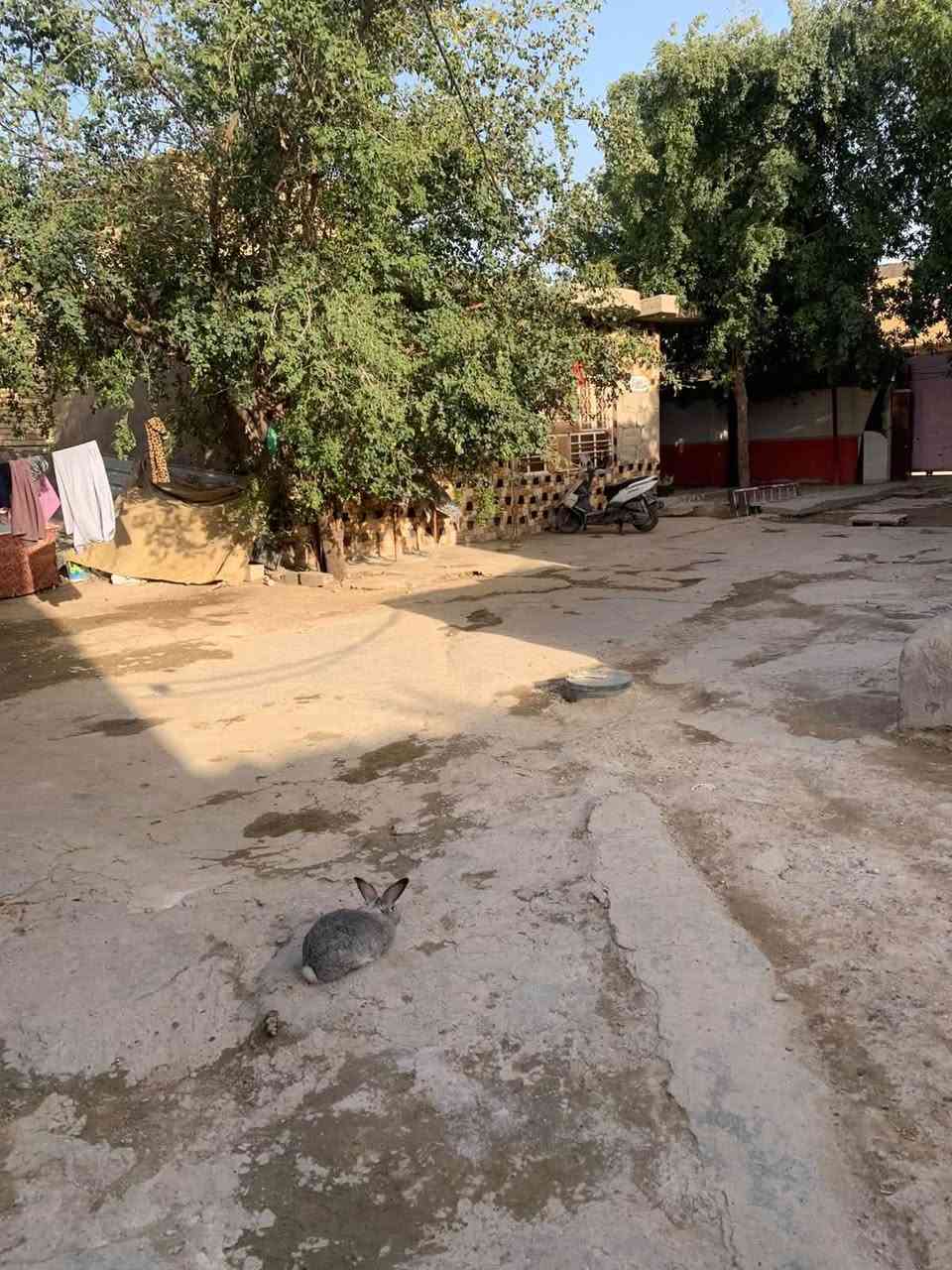 بيت اللبيع طابقين مساحته 625متر بالدوانم بشارع ابو دراج البيت  ع فرعين بي 8غرف من عدا  الديوانيه 60متر البيت سعره مناسب الشىري ينتصل ع هذا  الرقم ***********

