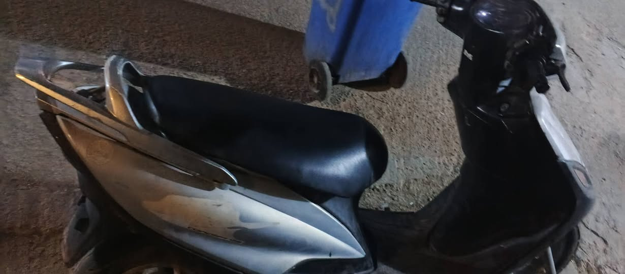 ماكس ثعلب • كايمة • قديم