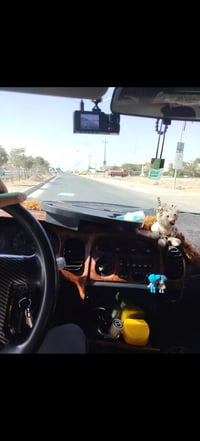 ستاركس • ٢٠٠٣ • عمومي ١١ راكب