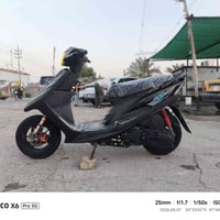 ماكس عدله • كفالة • ناشف