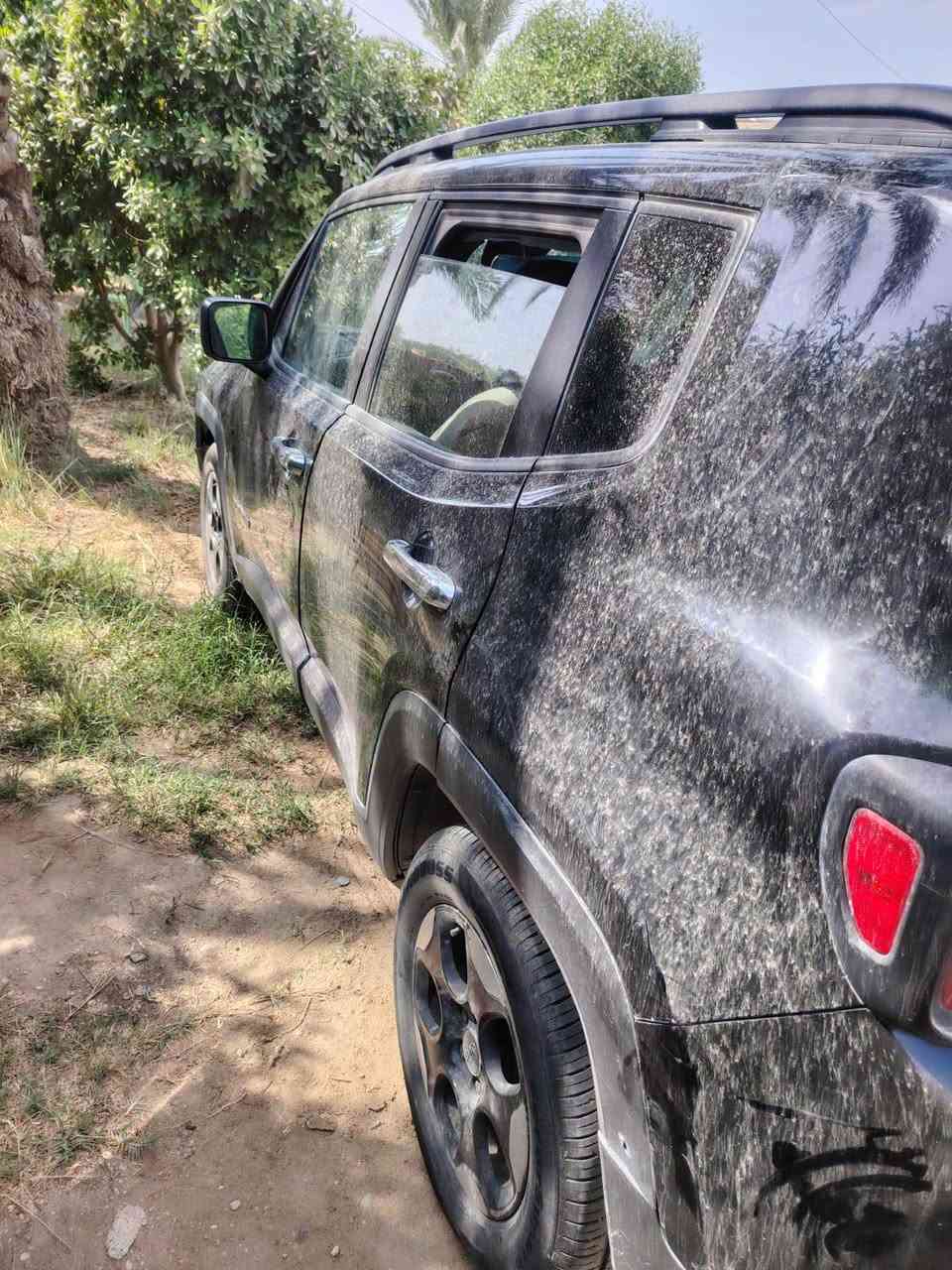 رنكيد • ٢٠١٦ • بابل المسيب