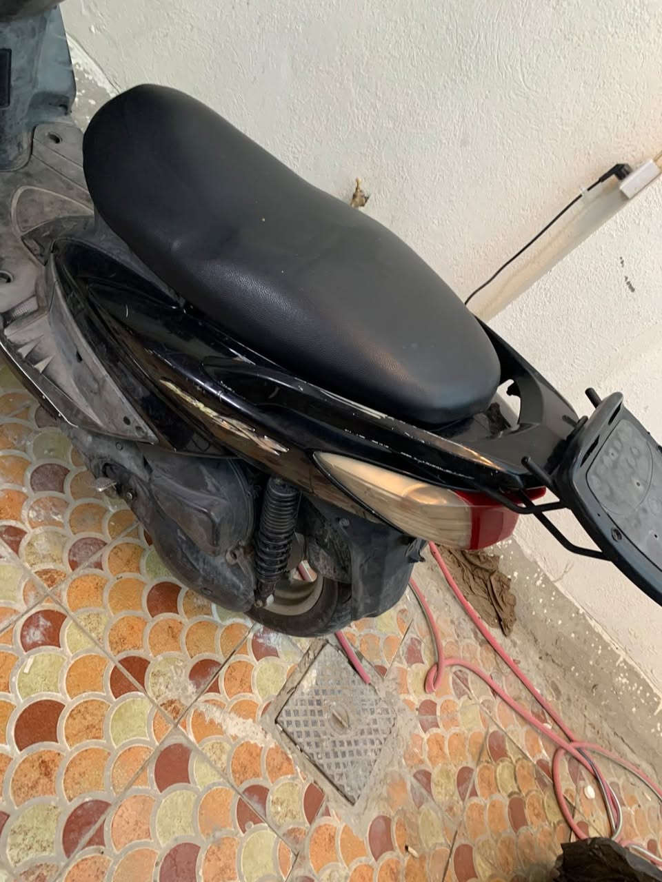 سكنس فحل للبيع الرقم *********** العنوان الدورة ابو دشير
