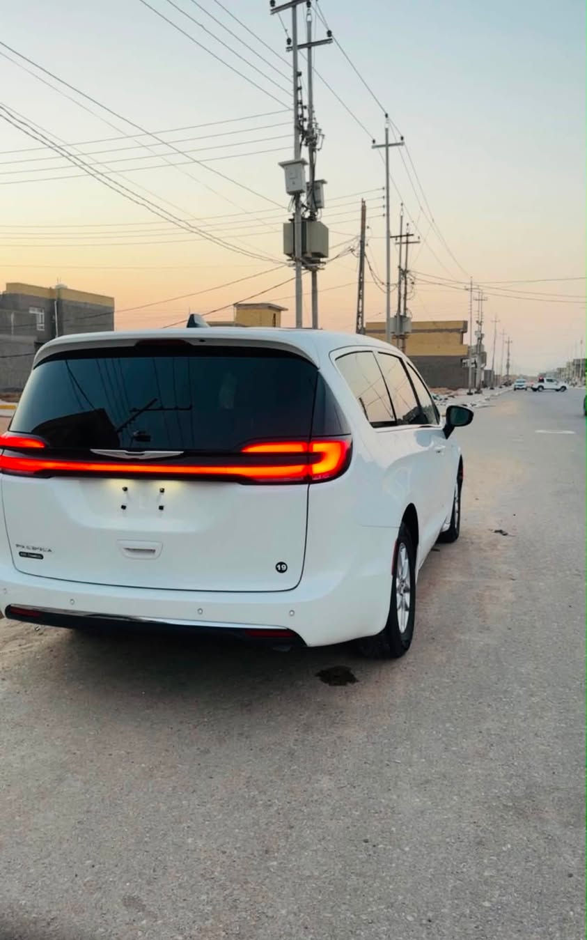 باسفيكا • ٢٠٢٤ • وراد أمريكي