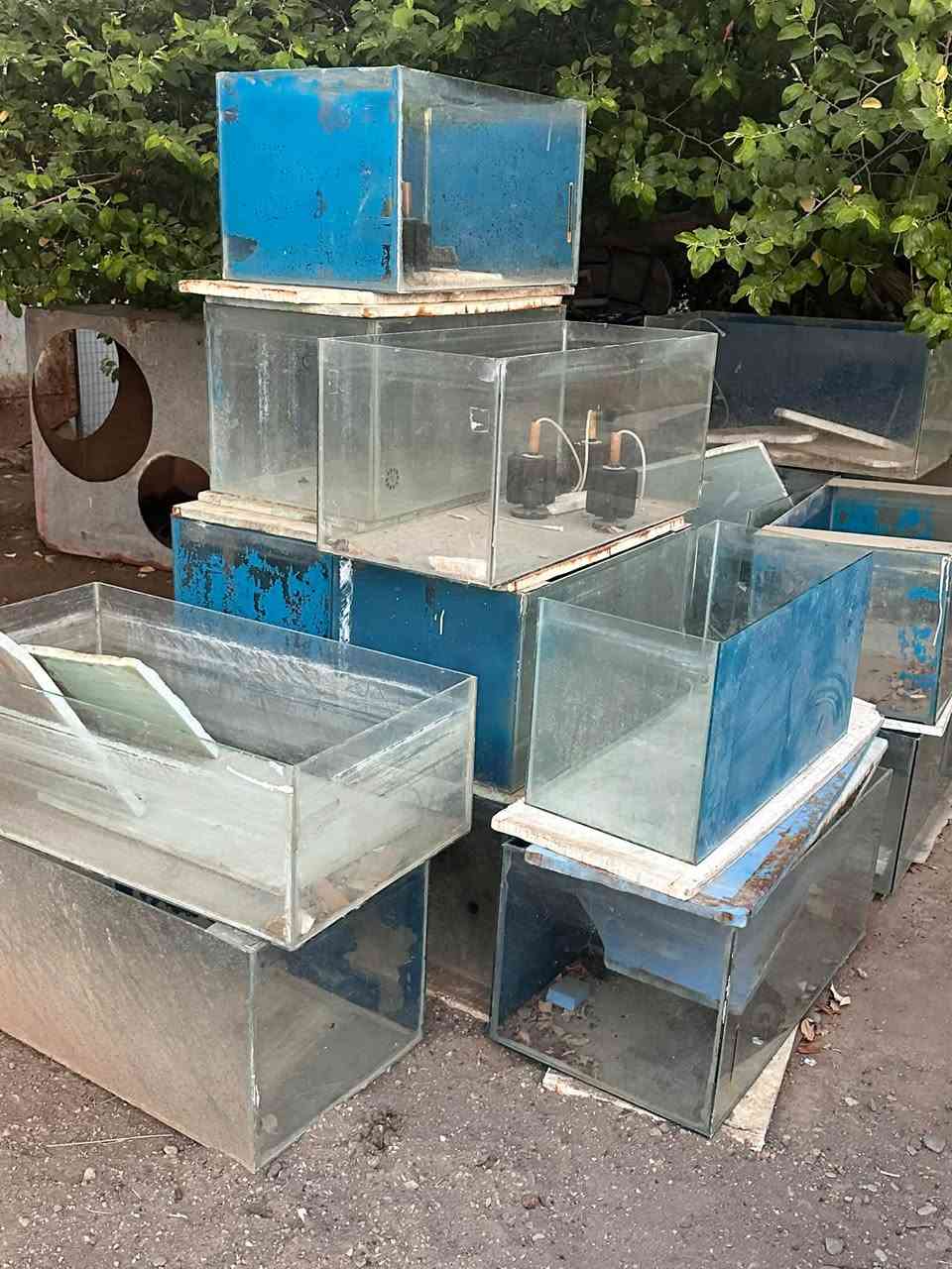 احواظ سمك زينه. 
شغل درجه اولى. 
احجام مختلفه. 
من متر لحد 60. 
سـ 50 
تصال ***********
