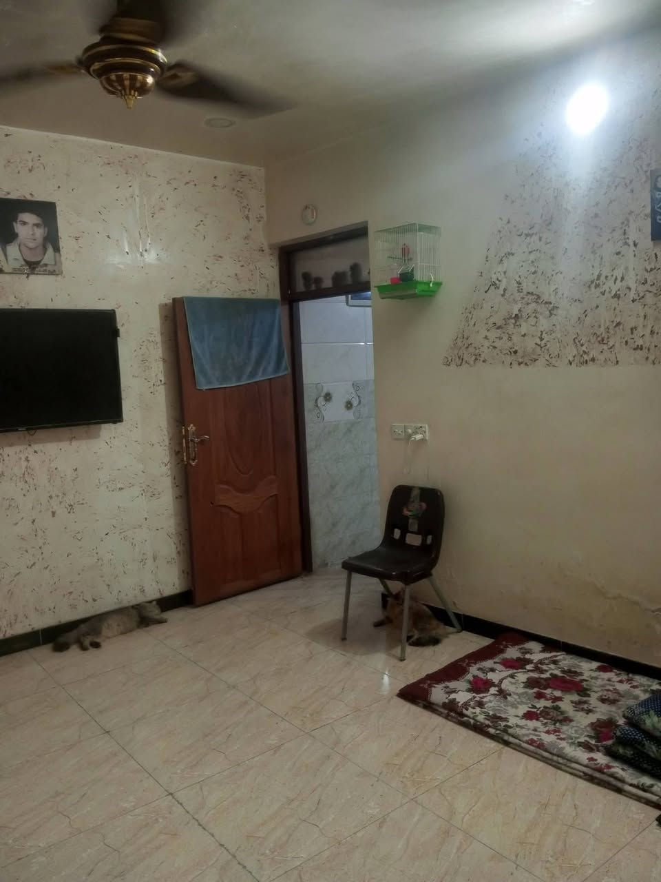 مشتمل ٥٠متر ثلاث طوابق ثلاث غرف نوم كامل خدمات ماء كهرباء مجاري تبليط مكان سويب زراعي ارض حجي عماد العامري سعر ٥٠مليون بي مجال بسيط الإتصال ***********
