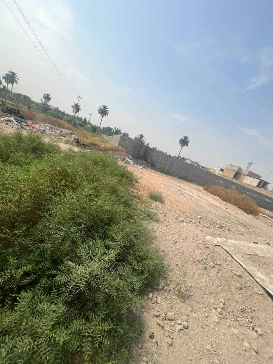 منطقة زوير • طابو زراعي • ٤٤٠م