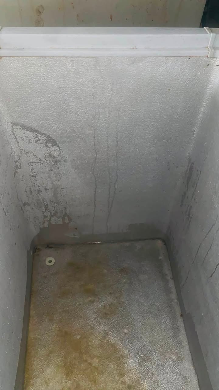 مجمدة نوع كونكورد تجميده زين وشغاله مابيهة اي ضرر رايدينه ب١٢٥ وبيهة مجال
