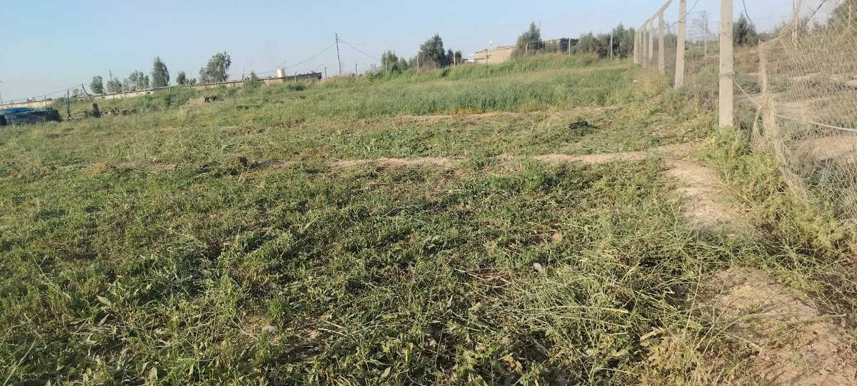 أرض زراعية • دونم ونص • خلف الخنساء
