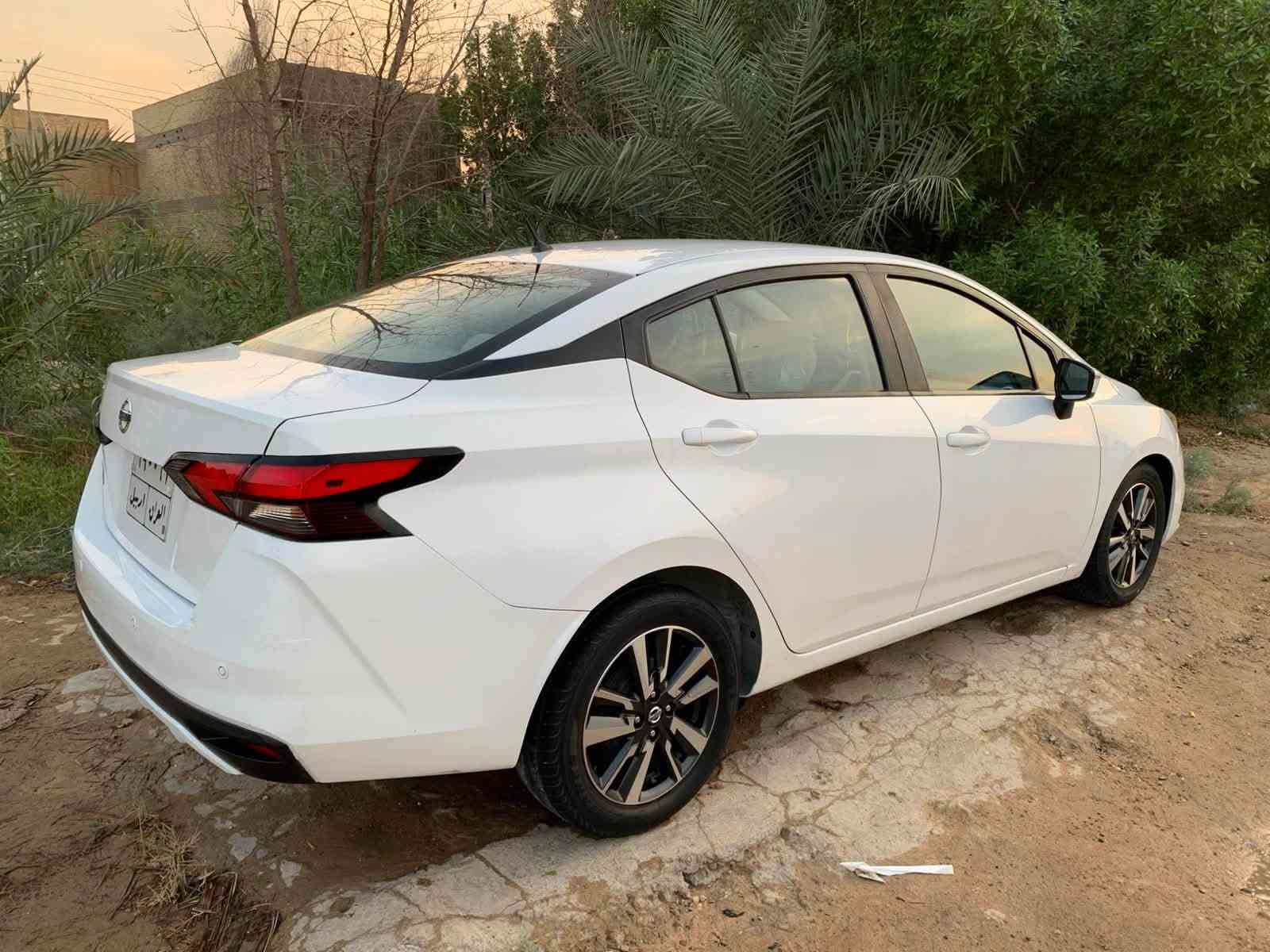صني مكسيكي • موديل ٢١ • مكفولة