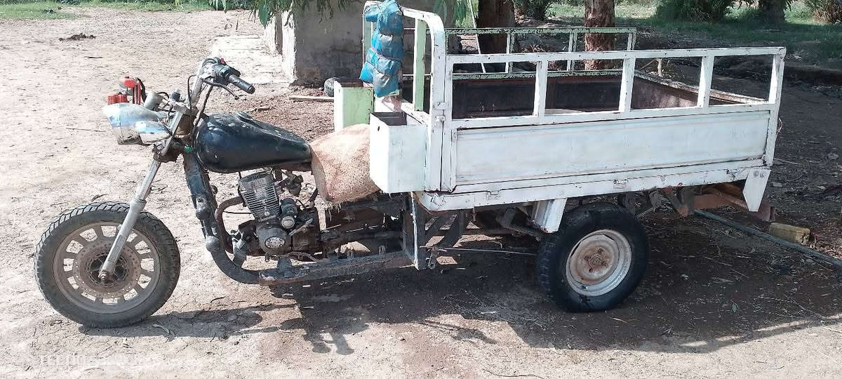 ستوته • كلك • للبيع