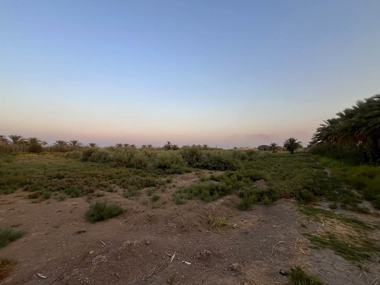 🔥 فرصة استثمارية مميزة | 6 دونم للبيع

📍 الموقع: طريق أبو الجاسم
🚗 تبعد فقط 100 متر عن الشارع العام

🌱 مساحة 6 دونم، مناسبة لـ:
🏭 معمل أو مشروع صناعي
🌴 مزرعة واستراحة
🌾 مشروع زراعي
🏗️ مشروع استثماري

💰 سعر الدونم: 37 مليون دينار

قابل للتفاوض

📞 للاستفسار والتفاصيل:
** | السيد للعقار**
📱 ***********
