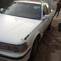 مارك • مكفوله • المطيحه