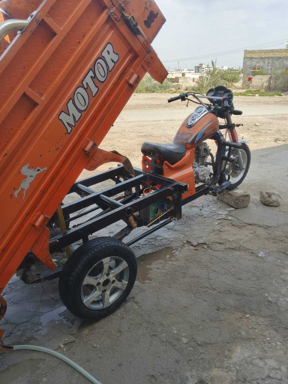 ستوته • فرس • أوراق أصلية