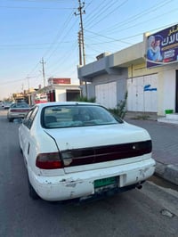 كرونا فرخ بطه • فحص نينوى • مكفوله دوله وعشائر