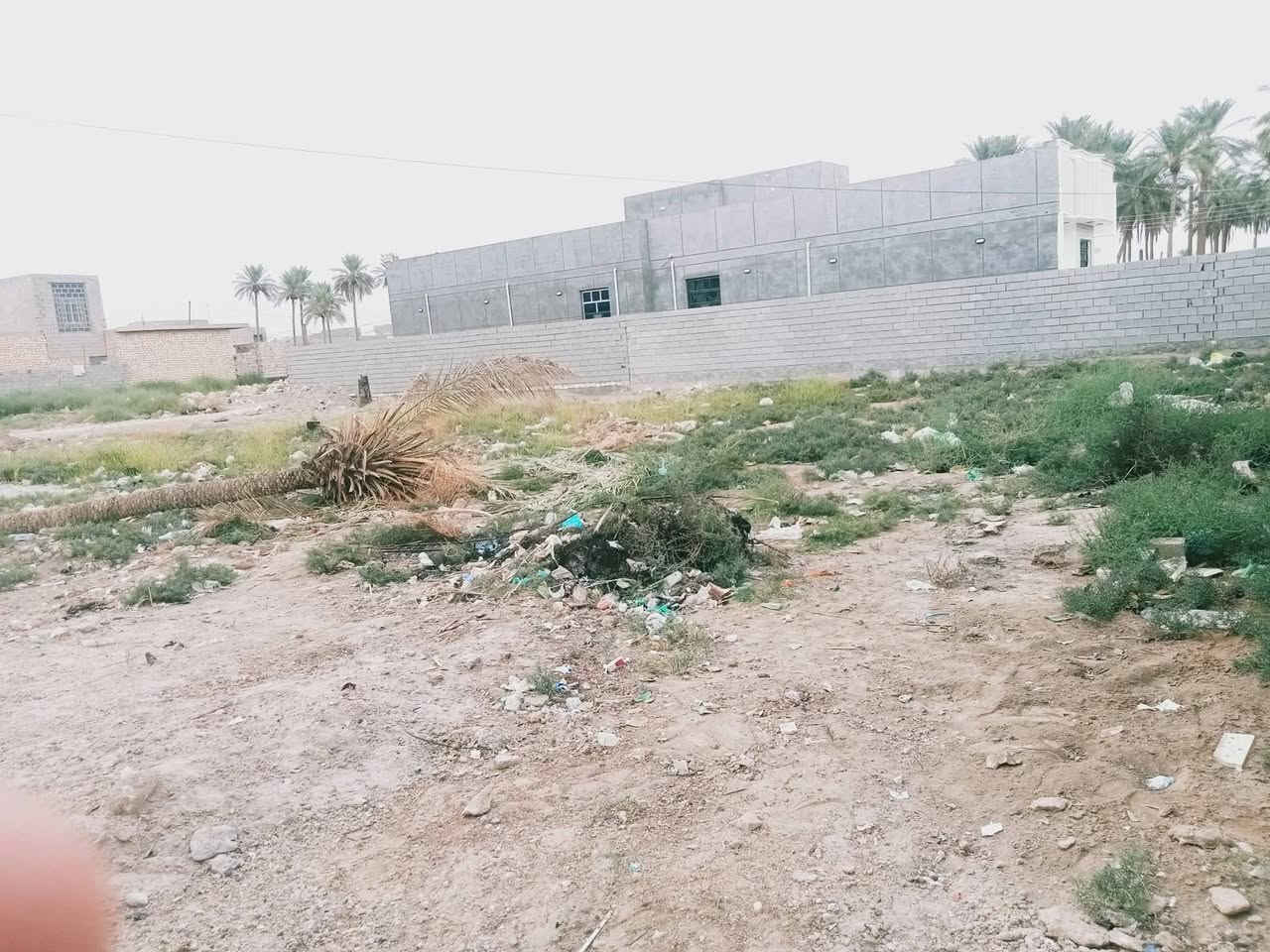 ٥٠٠م • طابو زراعي • تنباع نصفين