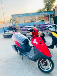 ماكس عدله • ناعمه • بلاديه