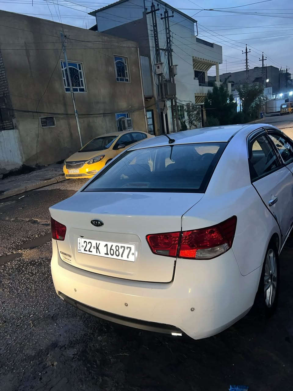 سيراتو • ٢٠١١ • الدورة