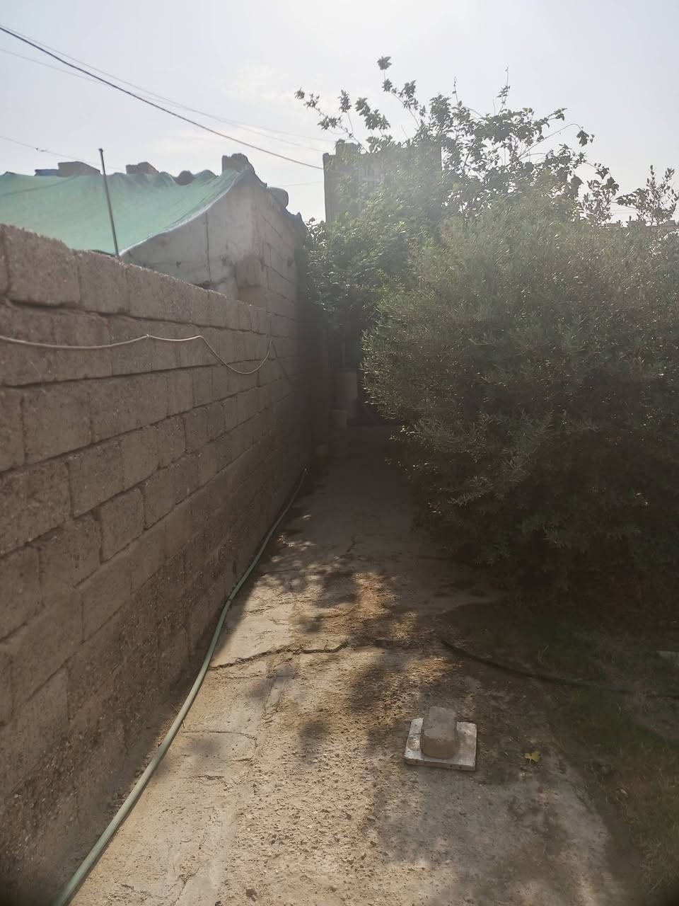 بيت • بيع/إيجار • مي وكهرباء زراعي