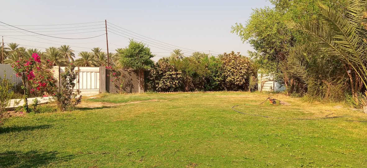 طريق العلويه شريفه • ٢٧٠٠م • ٢٨ نخلة