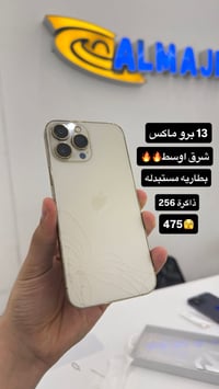 آيفون 13 برو ماكس • ٢٥٦ • فطر بالظهر